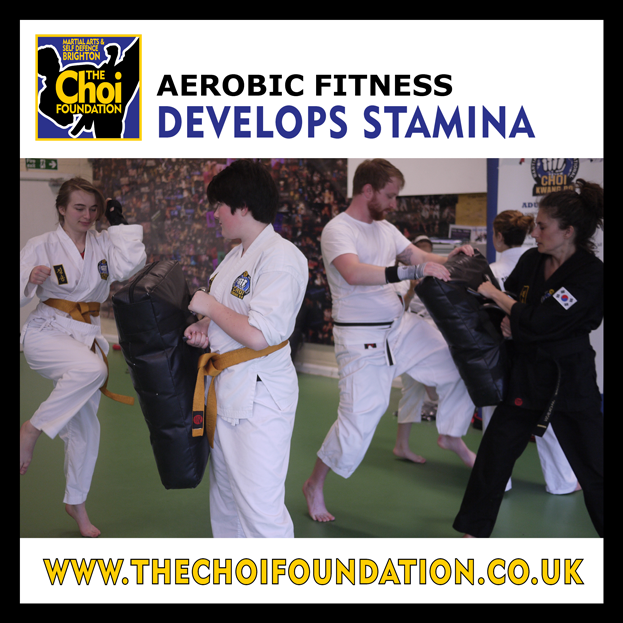Aerobic fitness at Martial Art and Self-defence in Brighton at The Choi Foundation