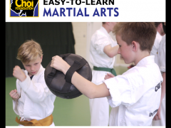 Easy-to-learn in Martial Art and Self-defence in Brighton at The Choi Foundation