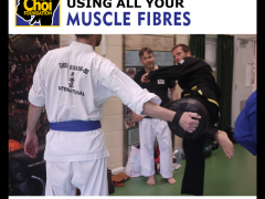 Using all your muscle fibres in Martial Art and Self-defence in Brighton at The Choi Foundation