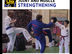 Joint and muscle strengthening fitness at Brighton Martial Arts and Self-defence classes, The Choi Foundation, Robert Tanswell