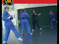 Brighton Martial Arts and Self-defence fitness classes, The Choi Foundation, Dorothy Stringer Sports Complex, Robert Tanswell