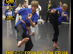 Brighton Martial Arts and Self-defence fitness classes, The Choi Foundation, Dorothy Stringer Sports Complex, Robert Tanswell