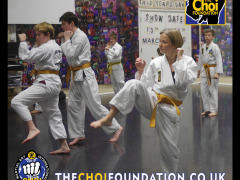 Brighton Martial Arts and Self-defence fitness classes, The Choi Foundation, Dorothy Stringer Sports Complex, Robert Tanswell