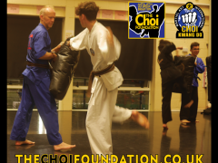 Brighton Martial Arts and Self-defence fitness classes, The Choi Foundation, Dorothy Stringer Sports Complex, Robert Tanswell