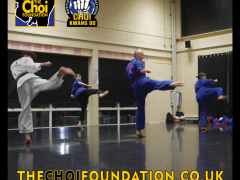 Brighton Martial Arts and Self-defence fitness classes, The Choi Foundation, Dorothy Stringer Sports Complex, Robert Tanswell